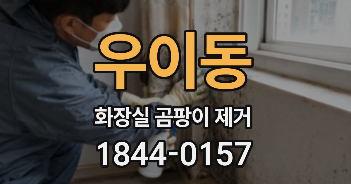우이동 화장실 곰팡이 제거