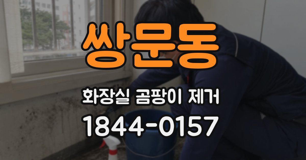 쌍문동 화장실 곰팡이 제거