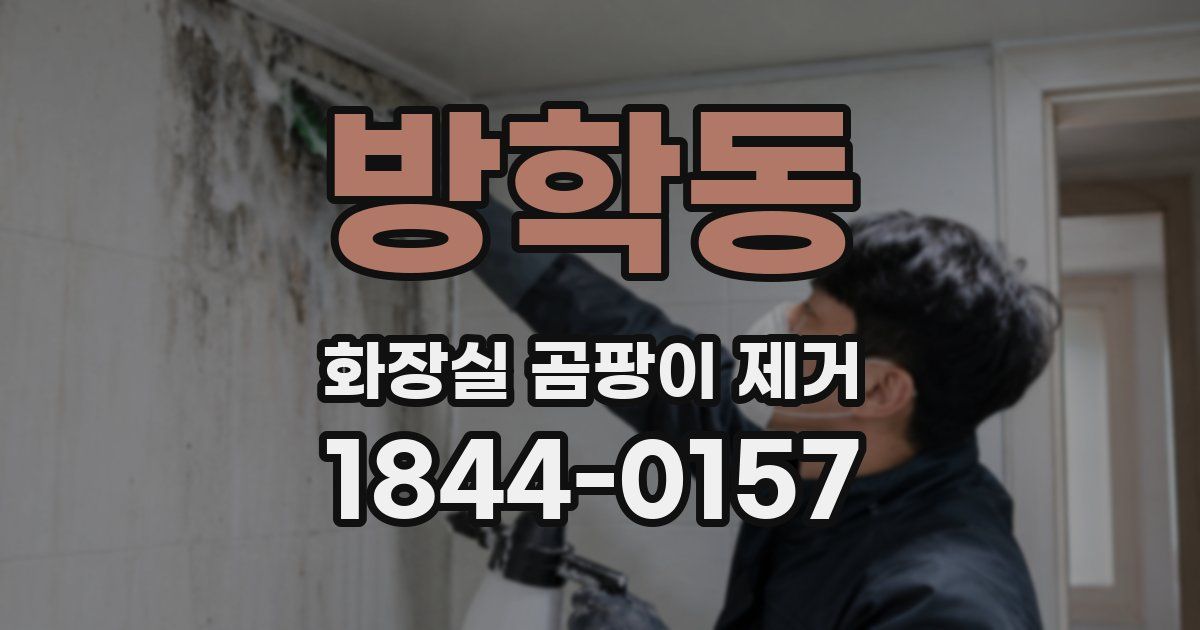 방학동 화장실 곰팡이 제거