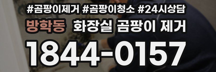 방학동 화장실 곰팡이 제거