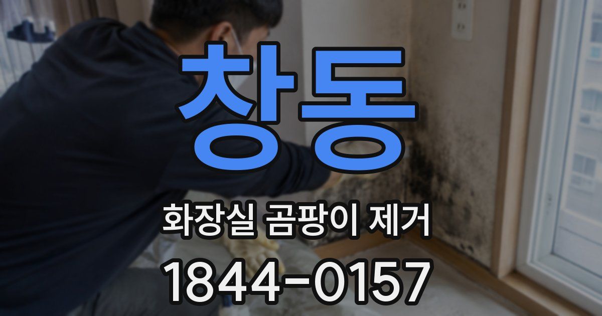 창동 화장실 곰팡이 제거