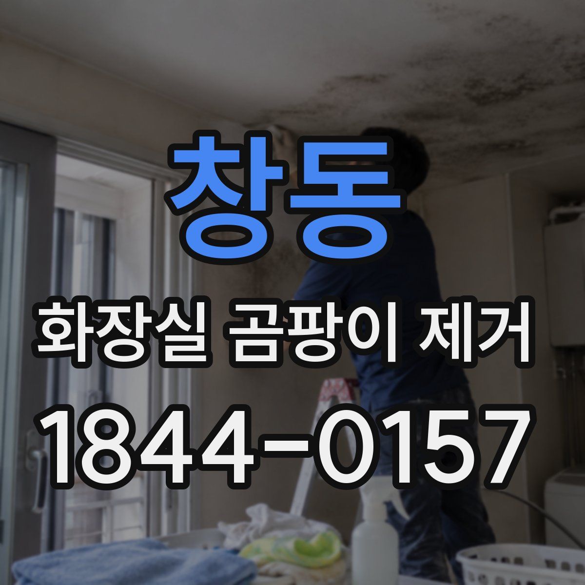 창동 화장실 곰팡이 제거