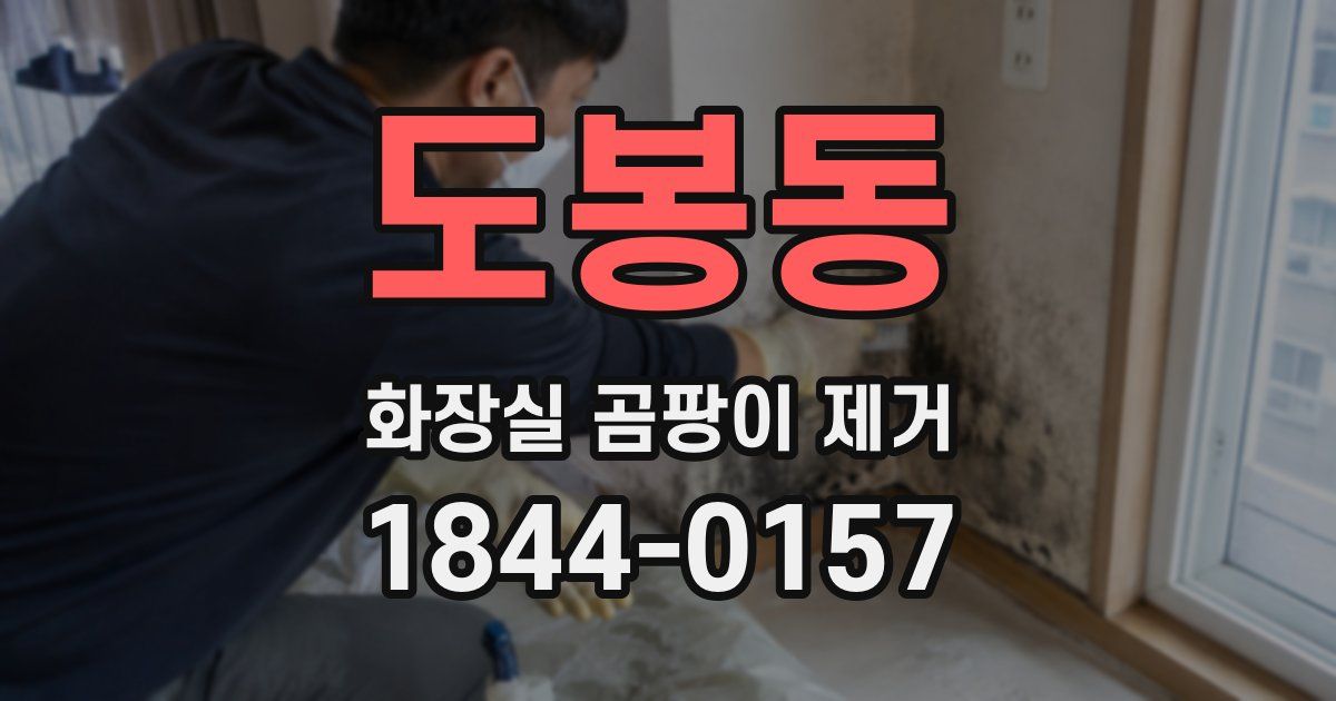 도봉동 화장실 곰팡이 제거