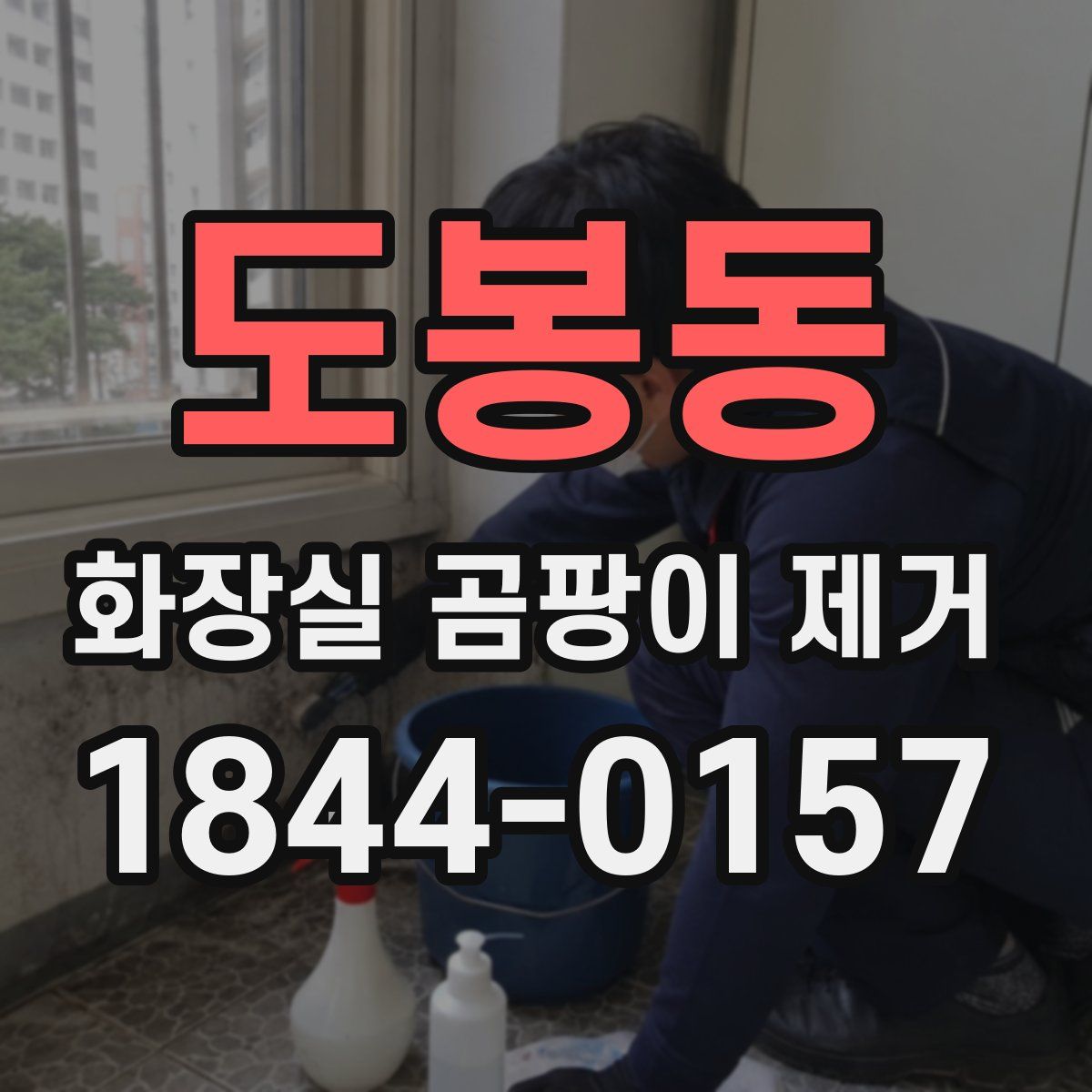 도봉동 화장실 곰팡이 제거