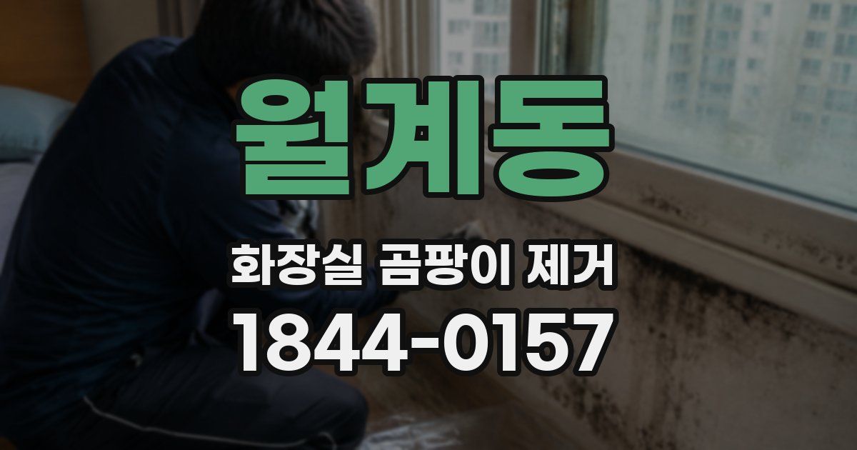 월계동 화장실 곰팡이 제거