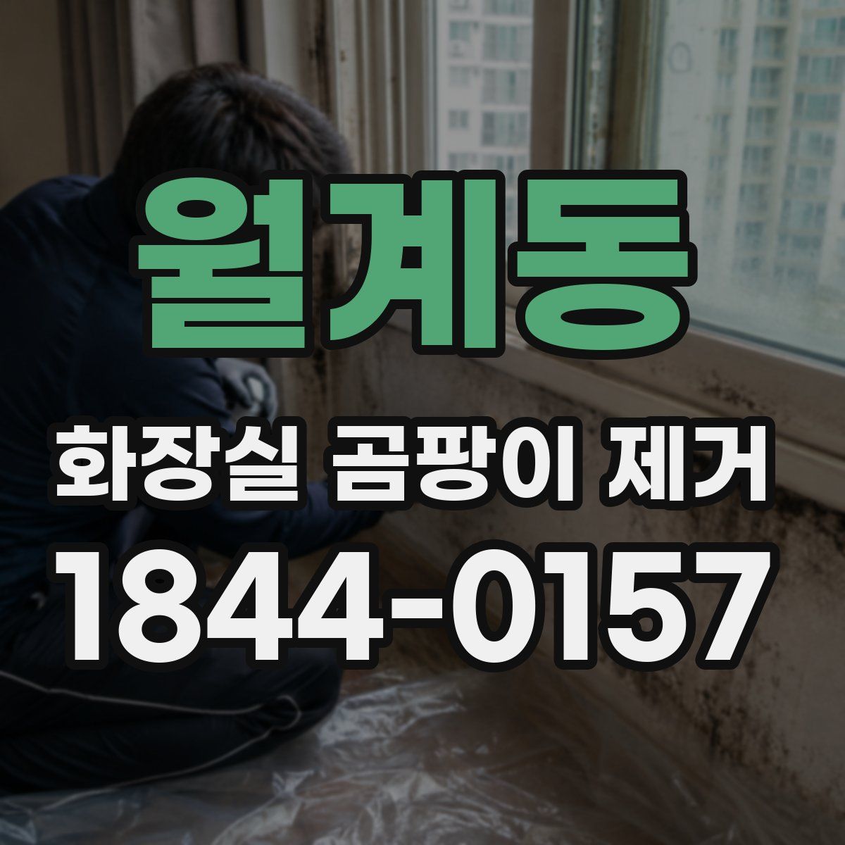 월계동 화장실 곰팡이 제거