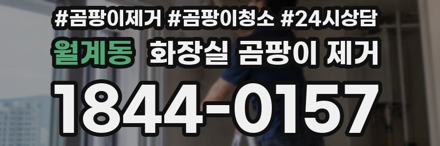 월계동 화장실 곰팡이 제거