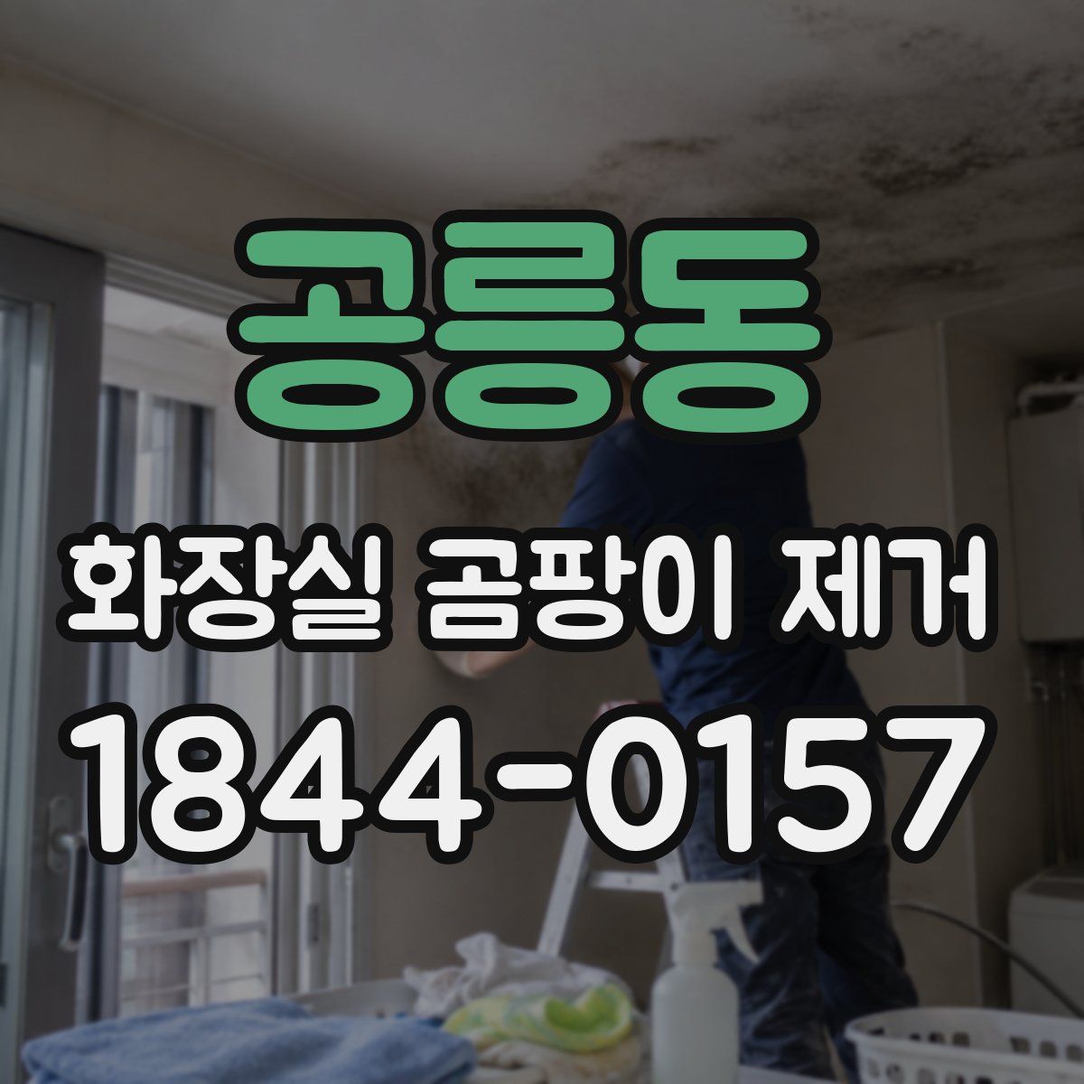 공릉동 화장실 곰팡이 제거