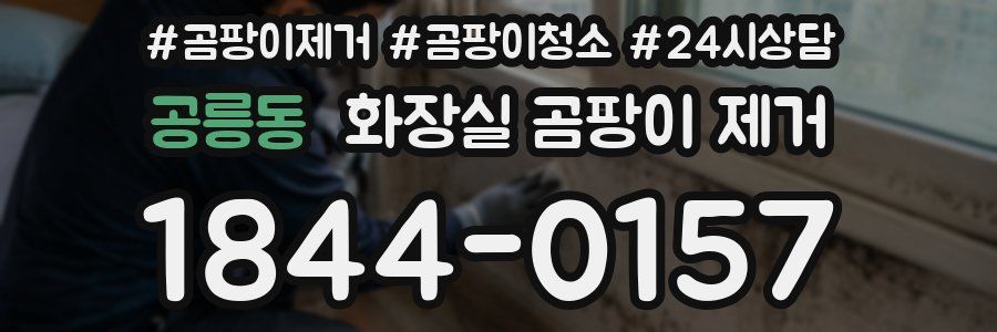 공릉동 화장실 곰팡이 제거