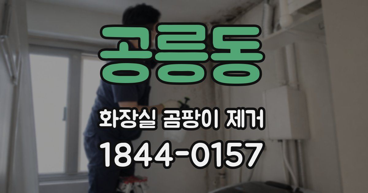 공릉동 화장실 곰팡이 제거