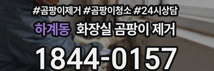 하계동 화장실 곰팡이 제거
