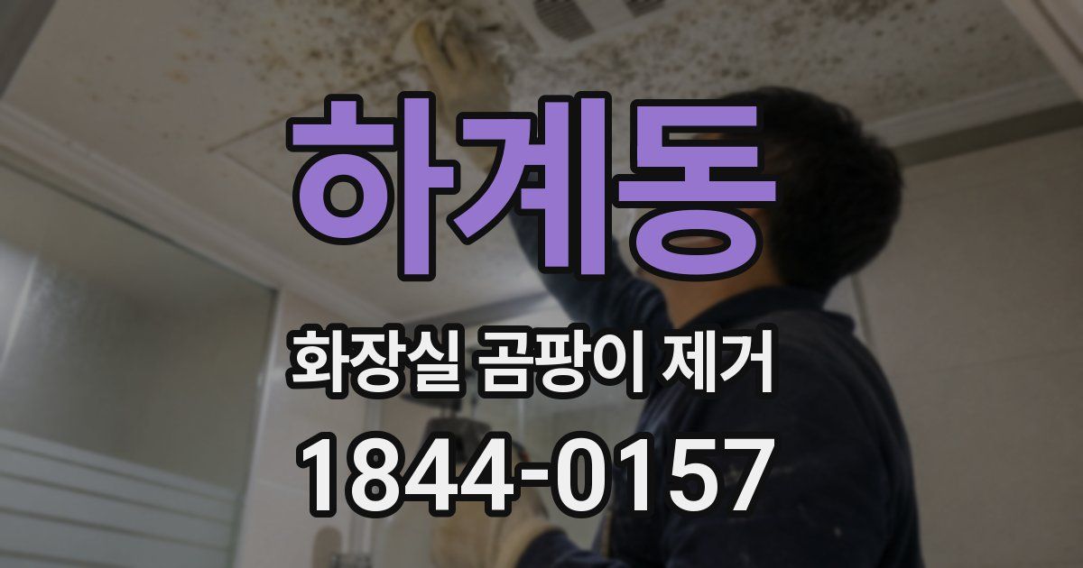 하계동 화장실 곰팡이 제거