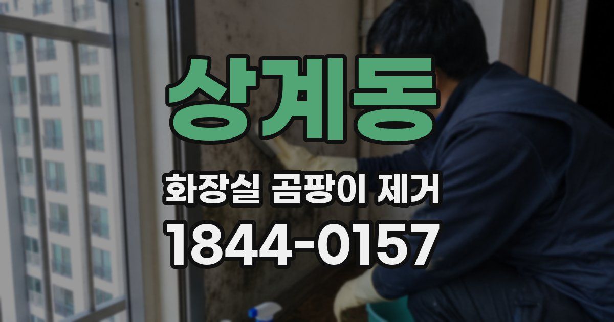 상계동 화장실 곰팡이 제거