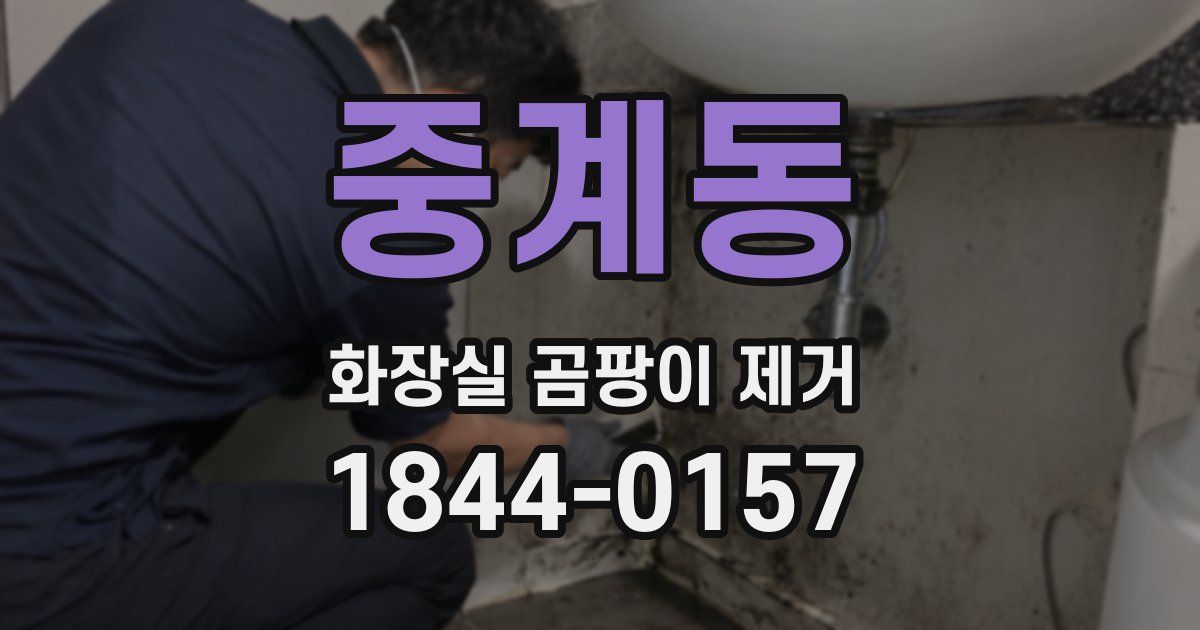 중계동 화장실 곰팡이 제거