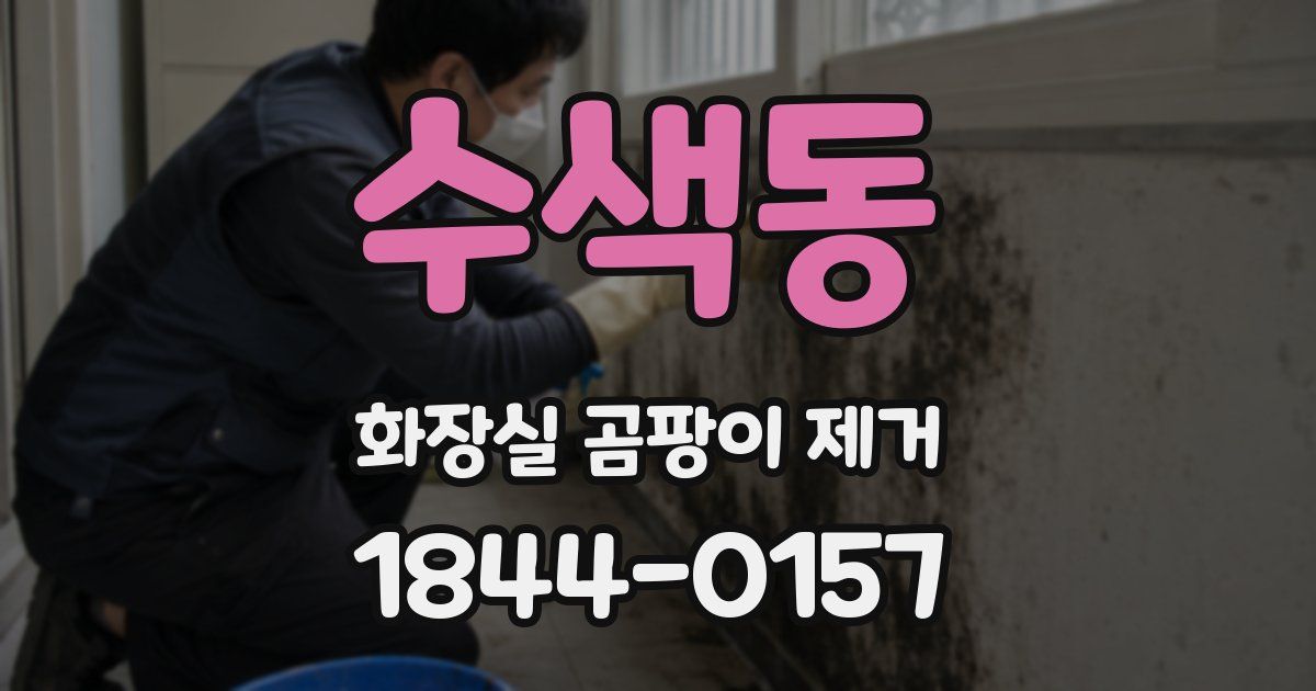 수색동 화장실 곰팡이 제거