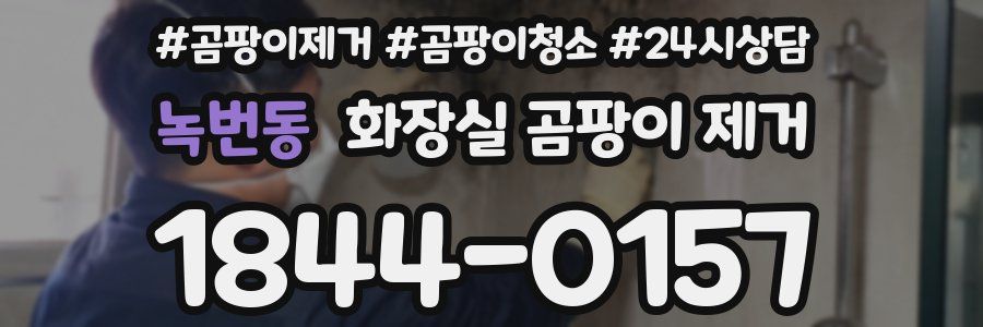 녹번동 화장실 곰팡이 제거