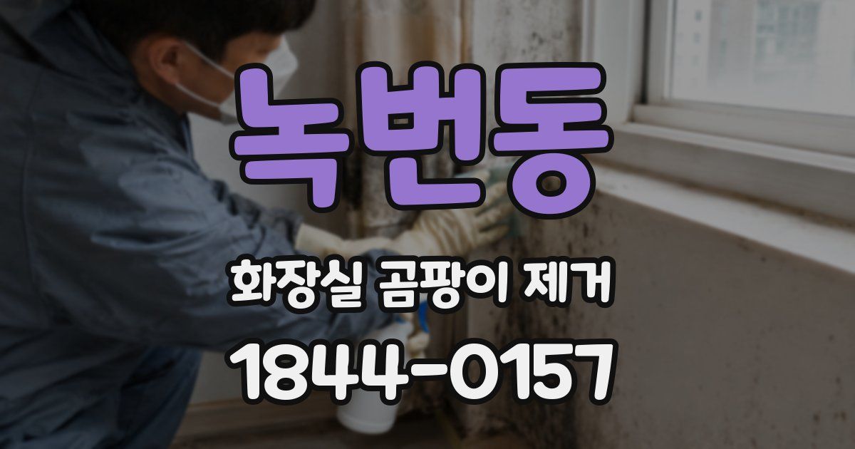 녹번동 화장실 곰팡이 제거