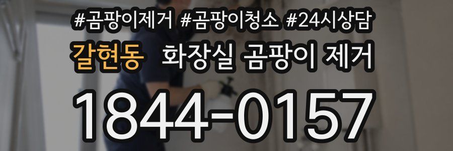 갈현동 화장실 곰팡이 제거