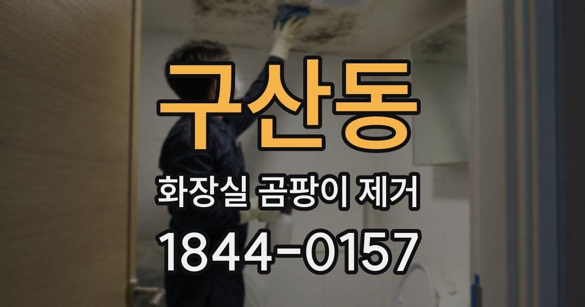 구산동 화장실 곰팡이 제거