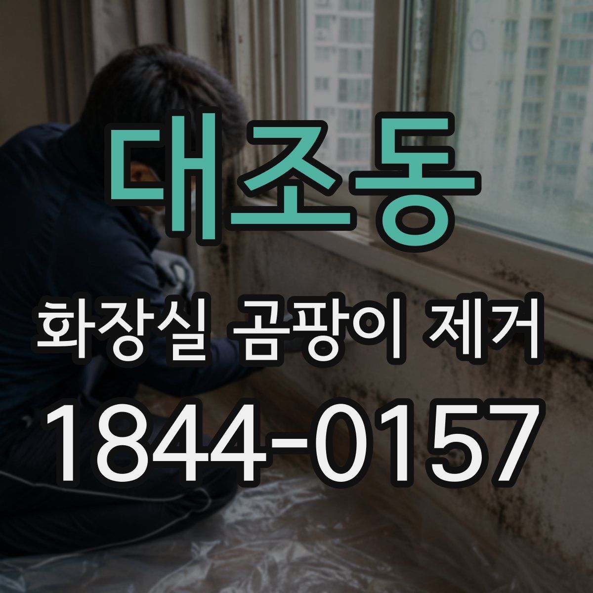 대조동 화장실 곰팡이 제거