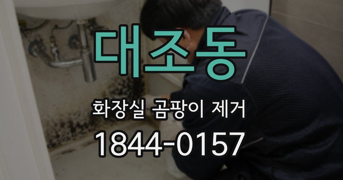 대조동 화장실 곰팡이 제거