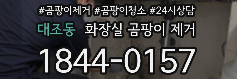 대조동 화장실 곰팡이 제거