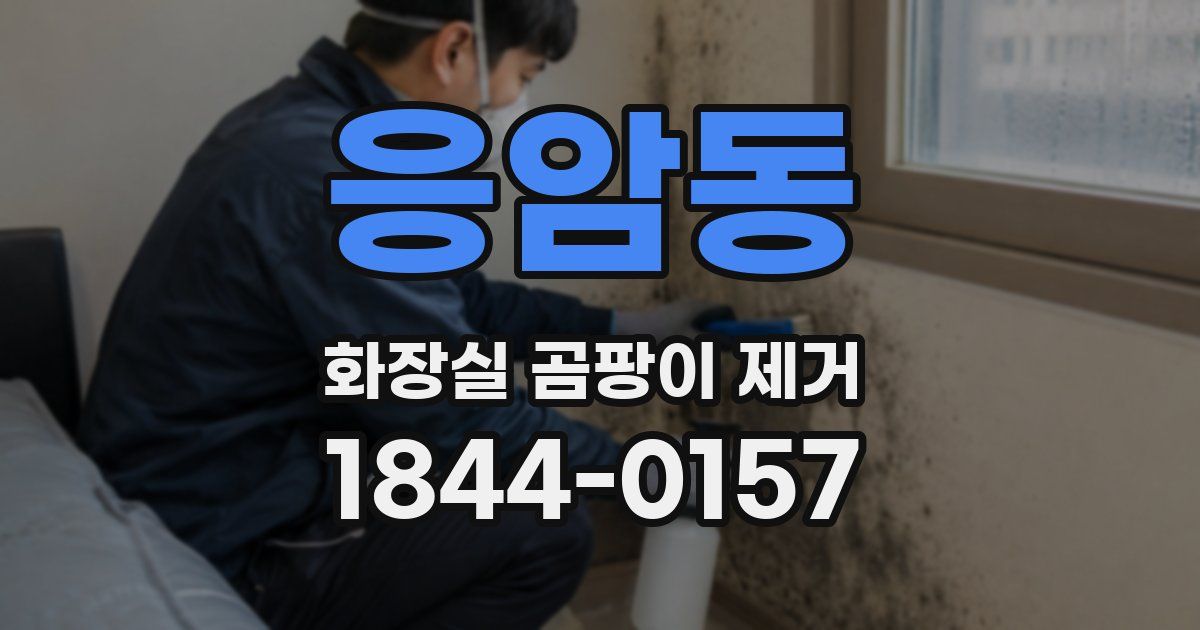 응암동 화장실 곰팡이 제거
