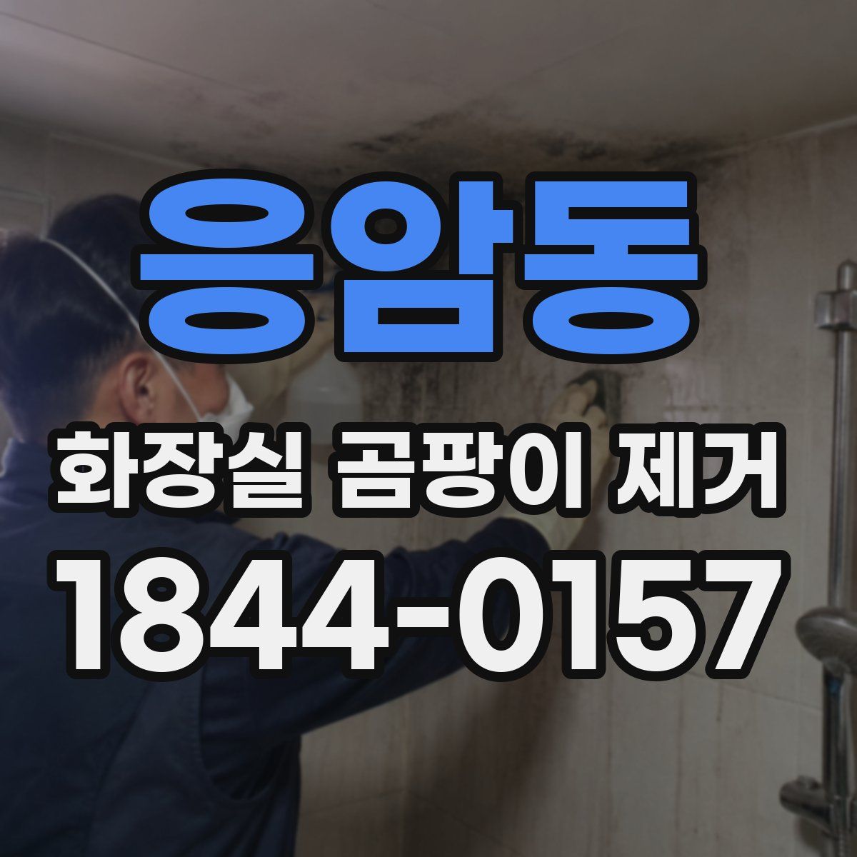 응암동 화장실 곰팡이 제거