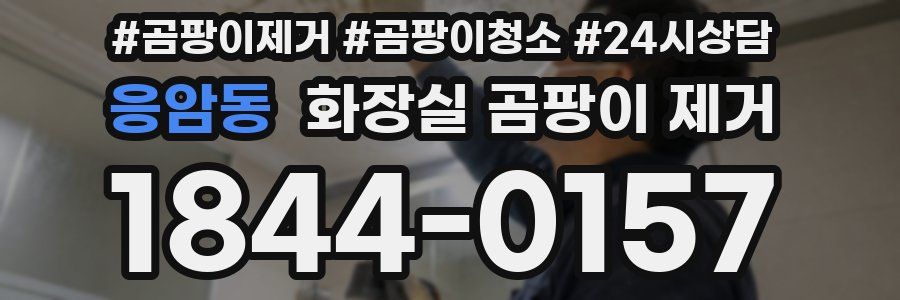 응암동 화장실 곰팡이 제거