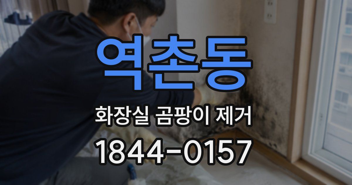 역촌동 화장실 곰팡이 제거