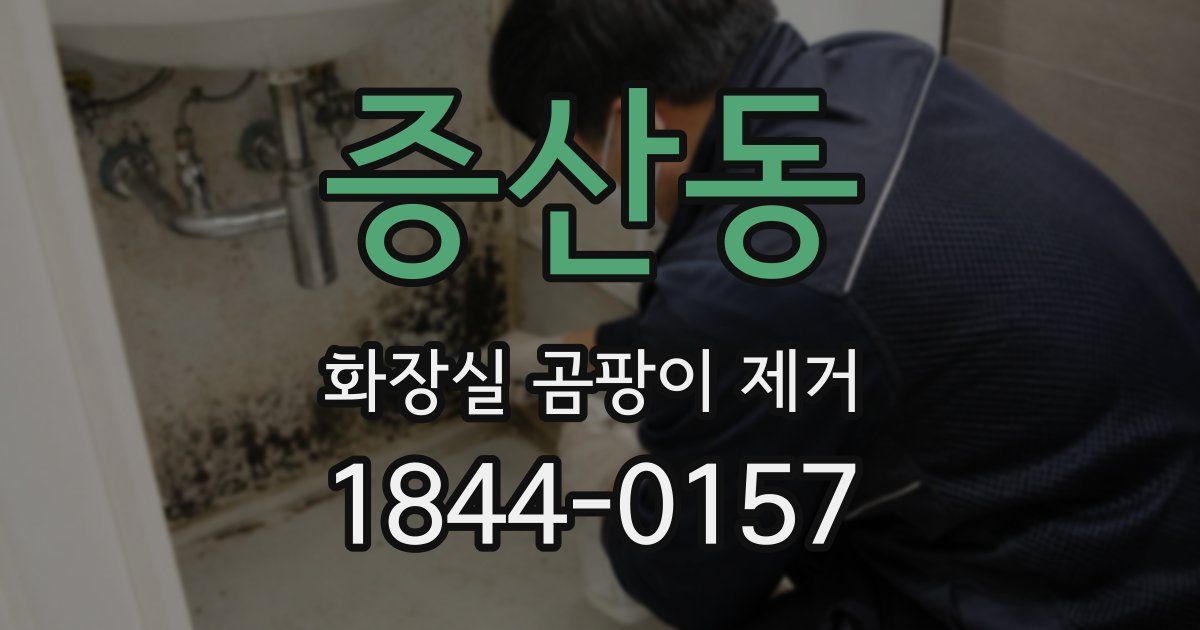 증산동 화장실 곰팡이 제거