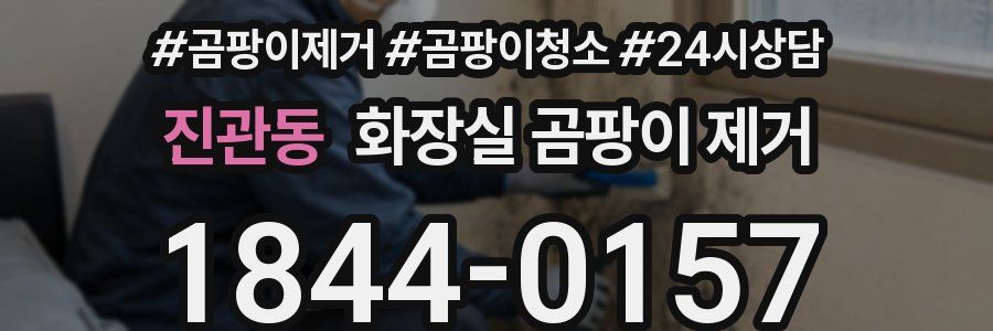 진관동 화장실 곰팡이 제거