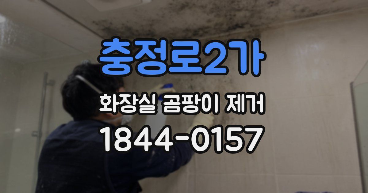 충정로2가 화장실 곰팡이 제거