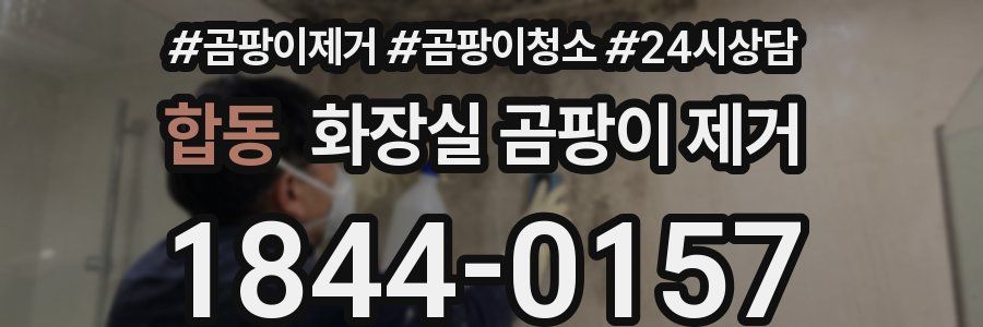 합동 화장실 곰팡이 제거