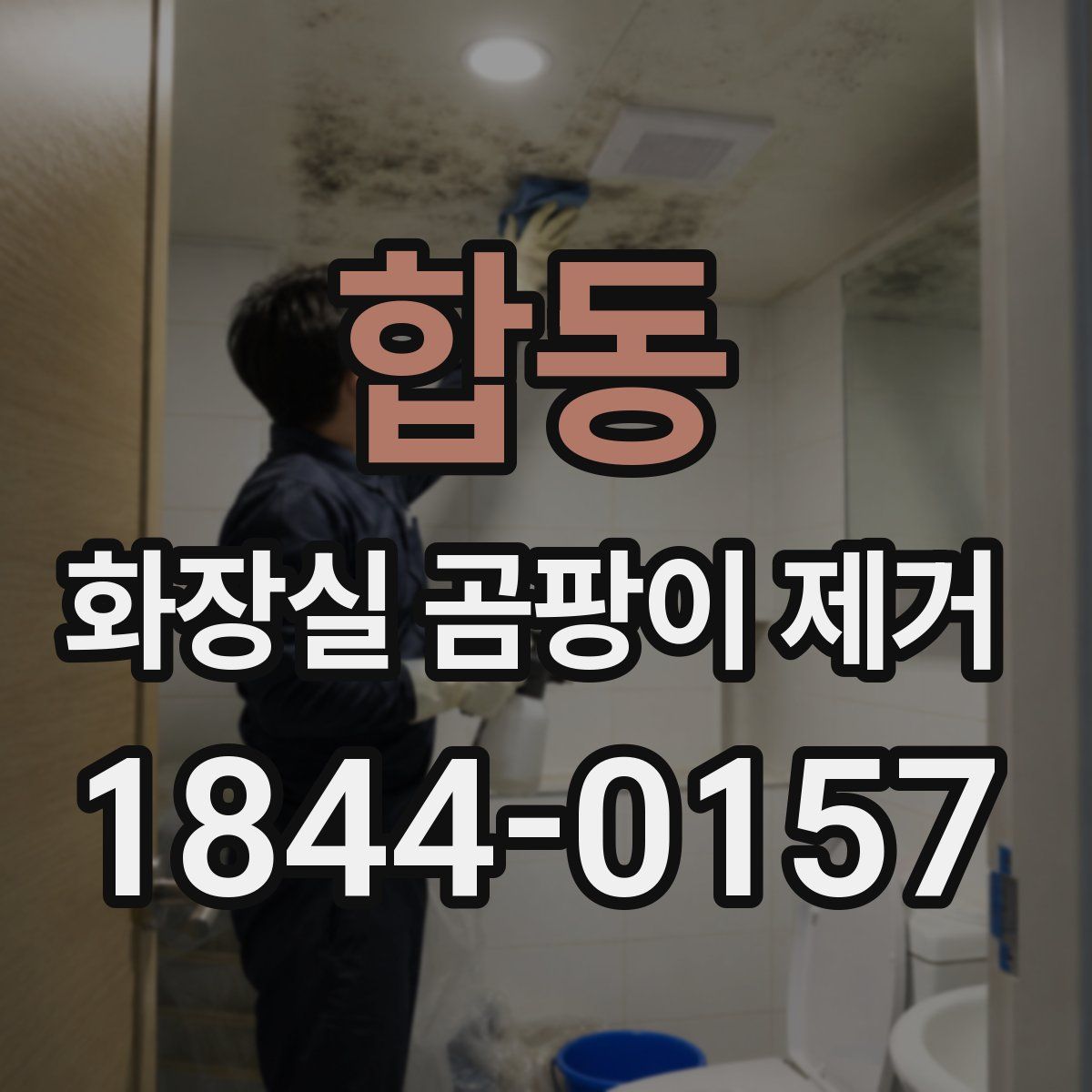 합동 화장실 곰팡이 제거
