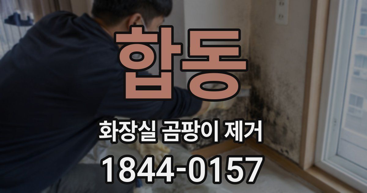 합동 화장실 곰팡이 제거