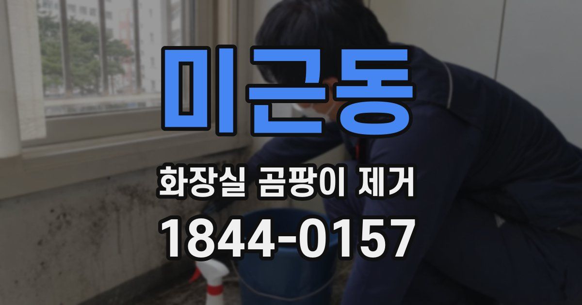 미근동 화장실 곰팡이 제거