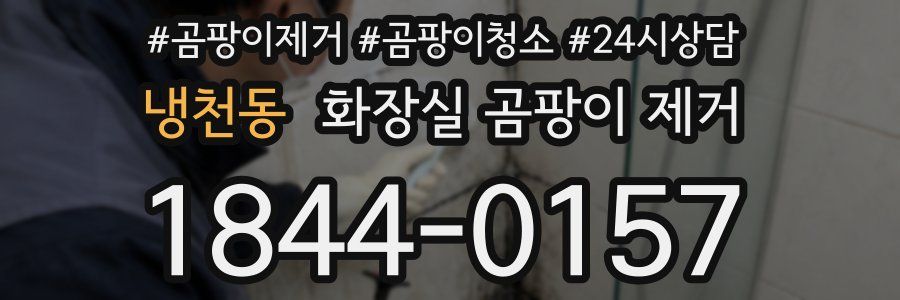냉천동 화장실 곰팡이 제거