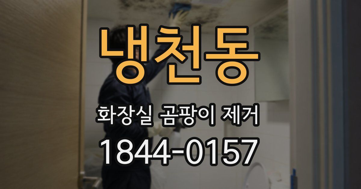 냉천동 화장실 곰팡이 제거