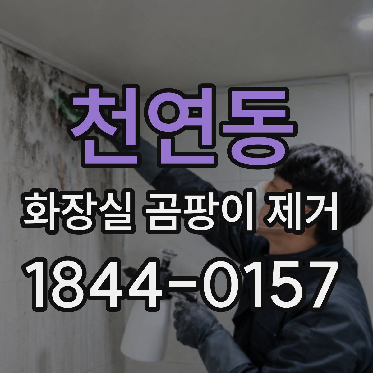 천연동 화장실 곰팡이 제거