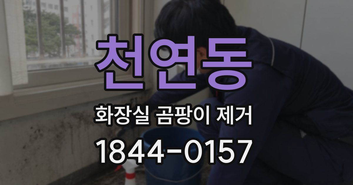 천연동 화장실 곰팡이 제거