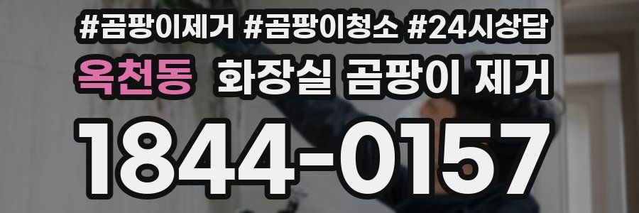 옥천동 화장실 곰팡이 제거