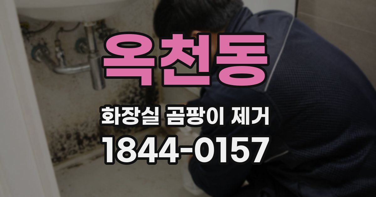 옥천동 화장실 곰팡이 제거