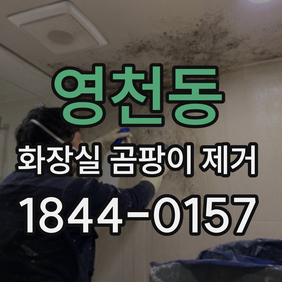 영천동 화장실 곰팡이 제거