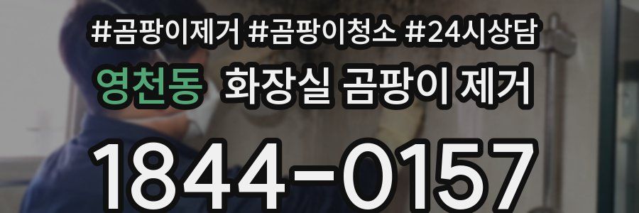 영천동 화장실 곰팡이 제거