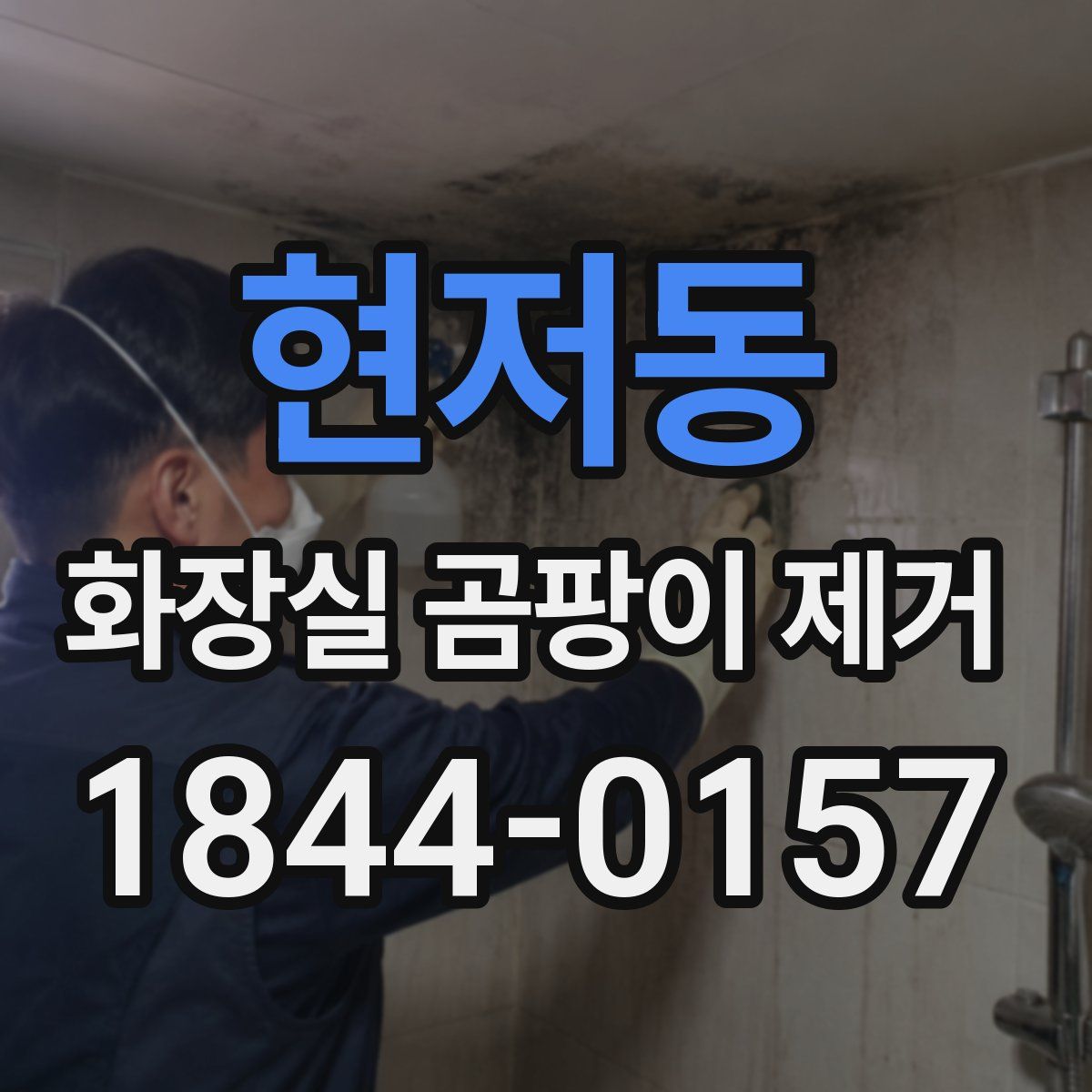 현저동 화장실 곰팡이 제거