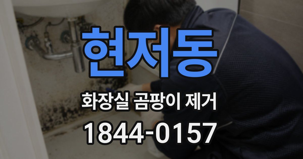 현저동 화장실 곰팡이 제거