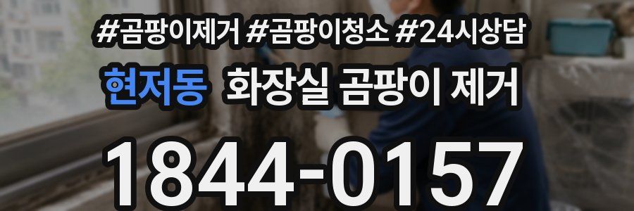 현저동 화장실 곰팡이 제거