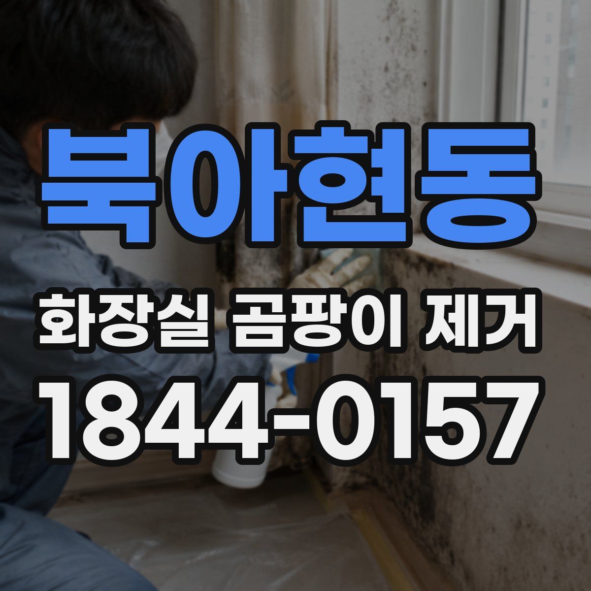 북아현동 화장실 곰팡이 제거