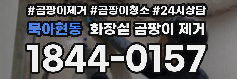 북아현동 화장실 곰팡이 제거